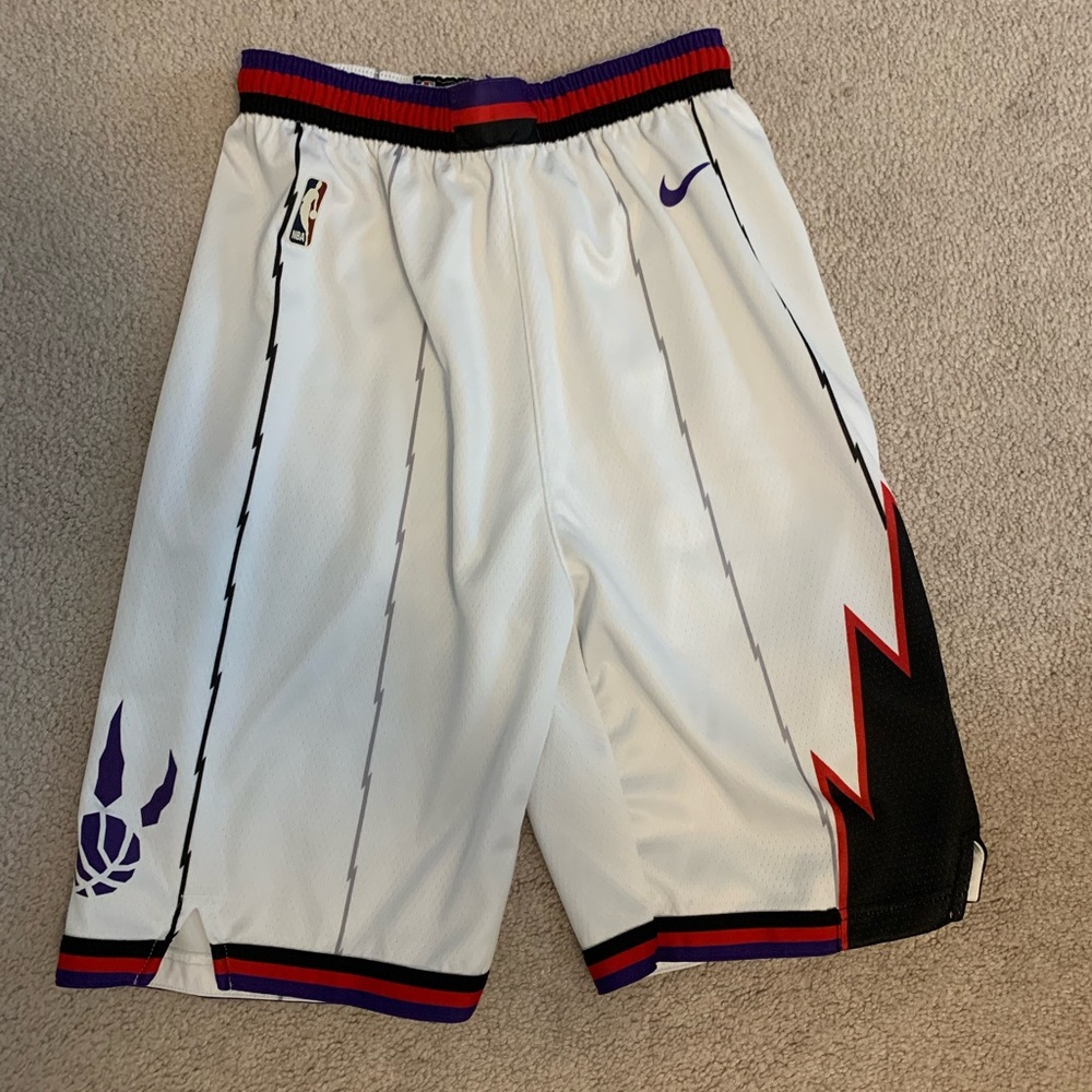 Toronto Raptors Mitchell and Ness Hardwood Classics Swingman Shorts